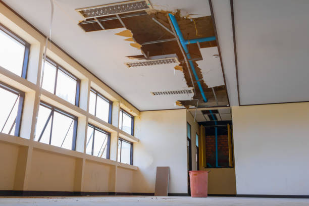 Best Residential water damage restoration  in Julesburg, CO