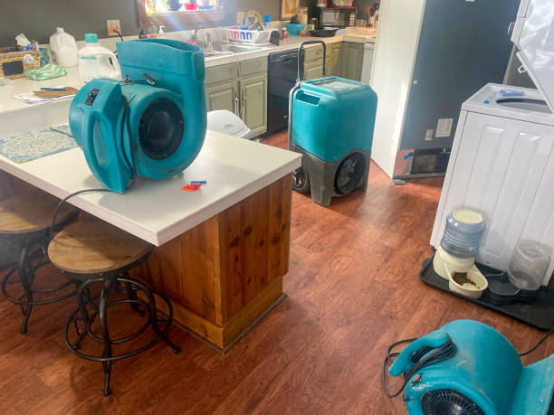 Best Basement water damage restoration  in Julesburg, CO