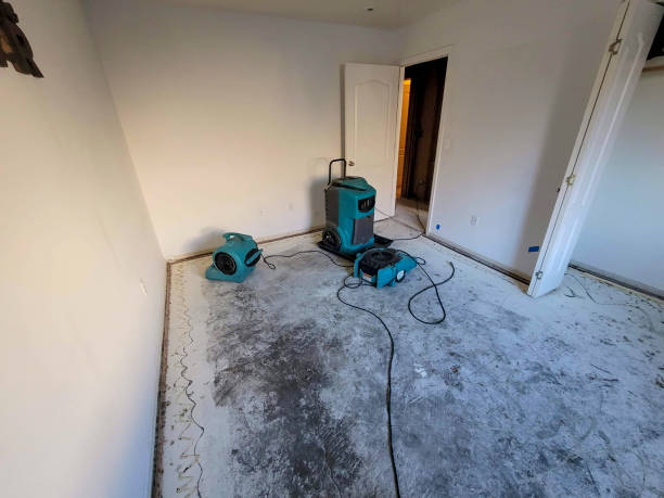 Best 24/7 water damage repair  in Julesburg, CO