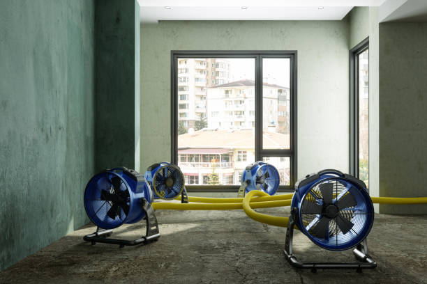 Best Water damage repair service  in Julesburg, CO